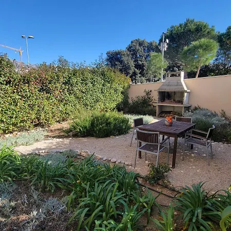 Bear * دوبروفينك