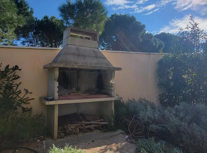 Bear Apartment
