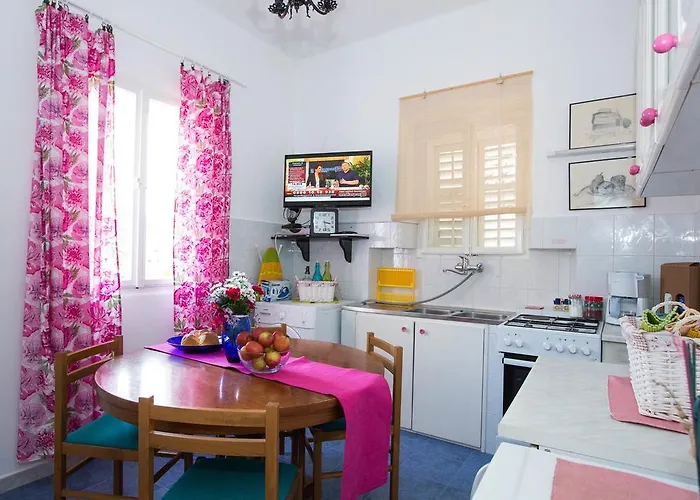 Bear 두브로브니크