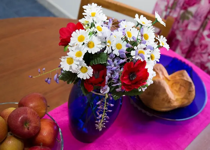 Bear * 두브로브니크