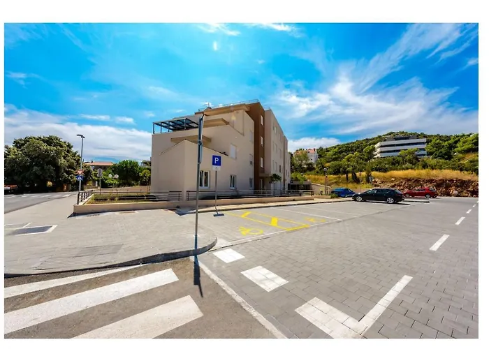 Bear 두브로브니크